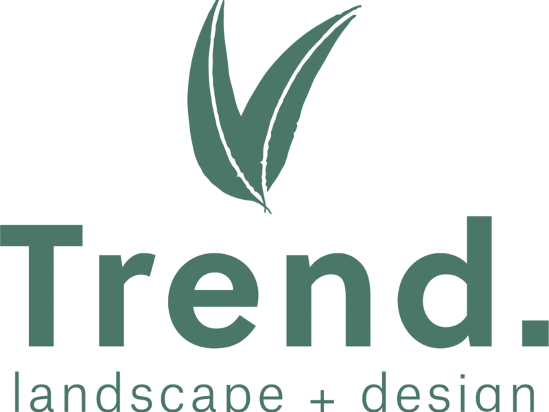 Trend Landscape and Design